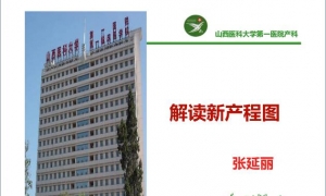 PPT | 解读新产程图