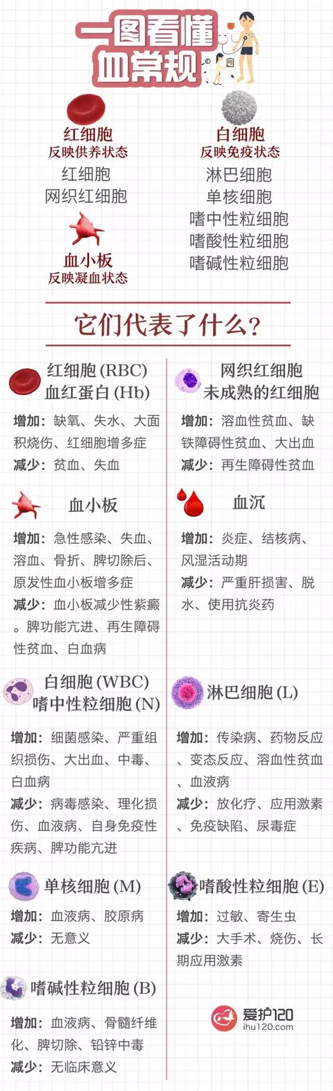 图说护理｜超全！血常规的各项指标和意义