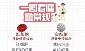 图说护理｜超全！血常规的各项指标和意义