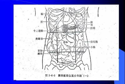 腹部体格检查