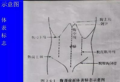 腹部体格检查