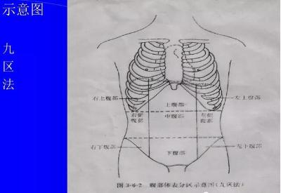 腹部体格检查