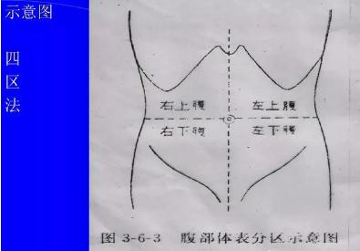 腹部体格检查