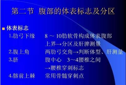 腹部体格检查
