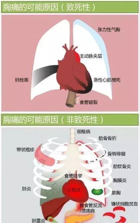 心血管系统——10分钟搞定！