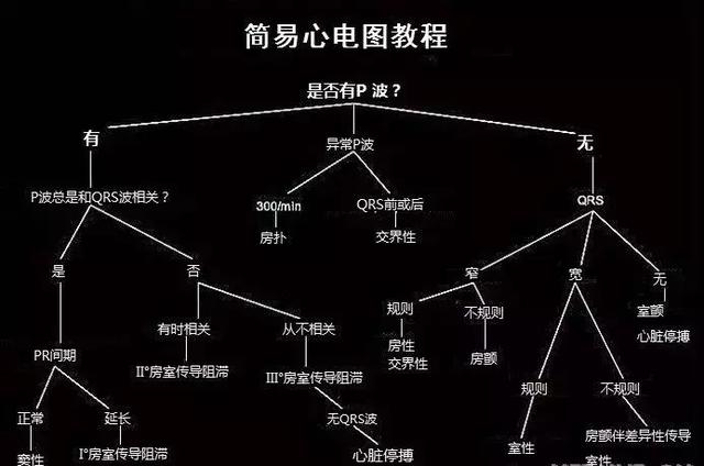 心血管系统——10分钟搞定！