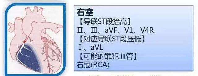 心血管系统——10分钟搞定！