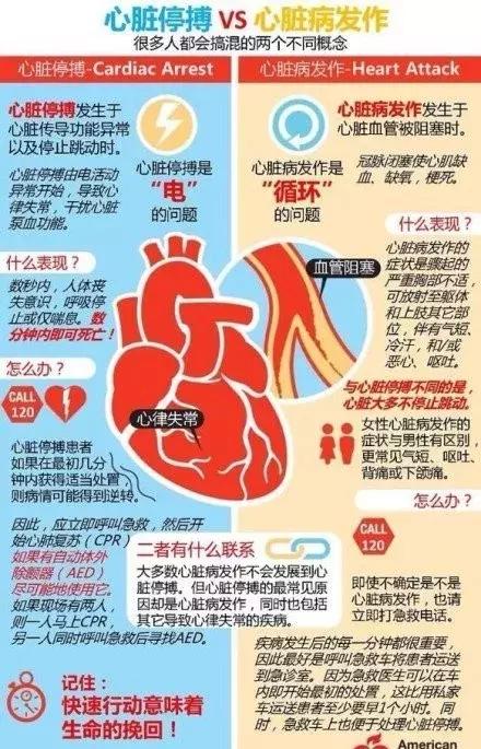 心血管系统——10分钟搞定！