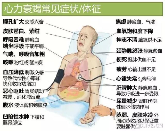 心血管系统——10分钟搞定！