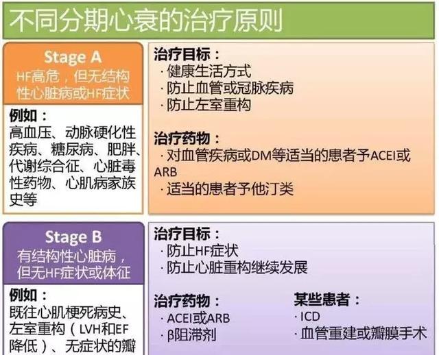 心血管系统——10分钟搞定！