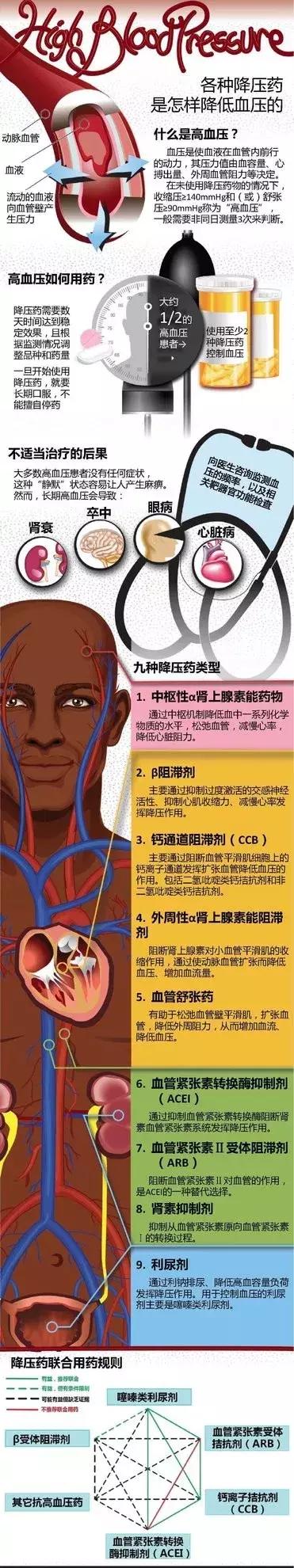 心血管系统——10分钟搞定！