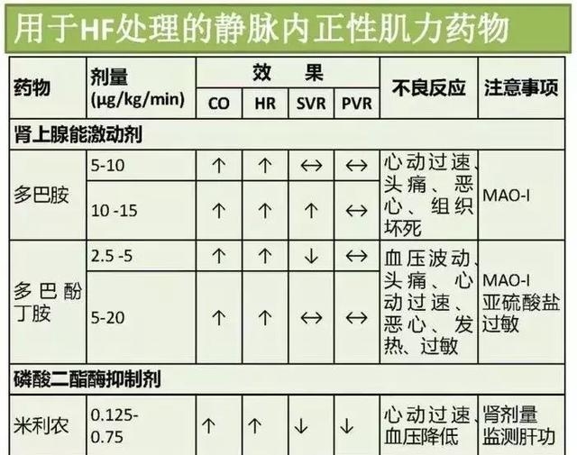 心血管系统——10分钟搞定！