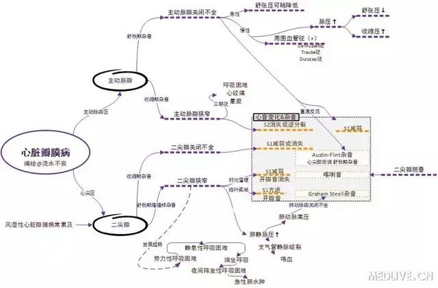 心血管系统——10分钟搞定！
