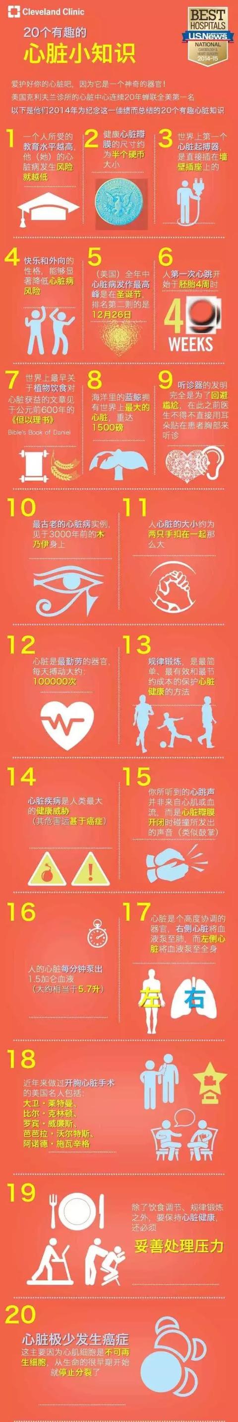 心血管系统——10分钟搞定！