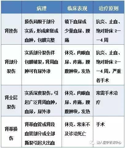 「医学美图」泌尿系统——10分钟搞定